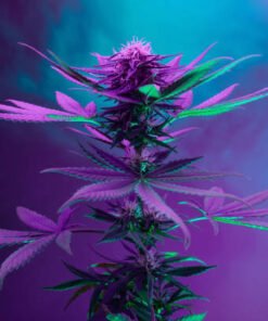 Bake flowers